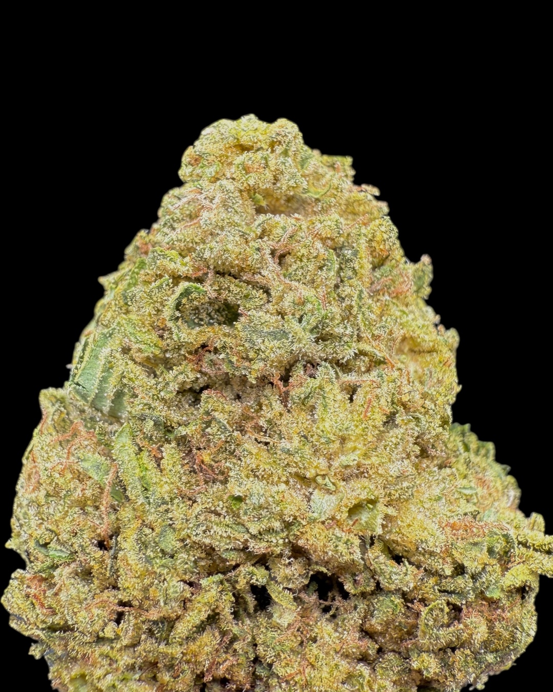 Ranbow Belts $50 Oz Special (2 Ozs for $90)