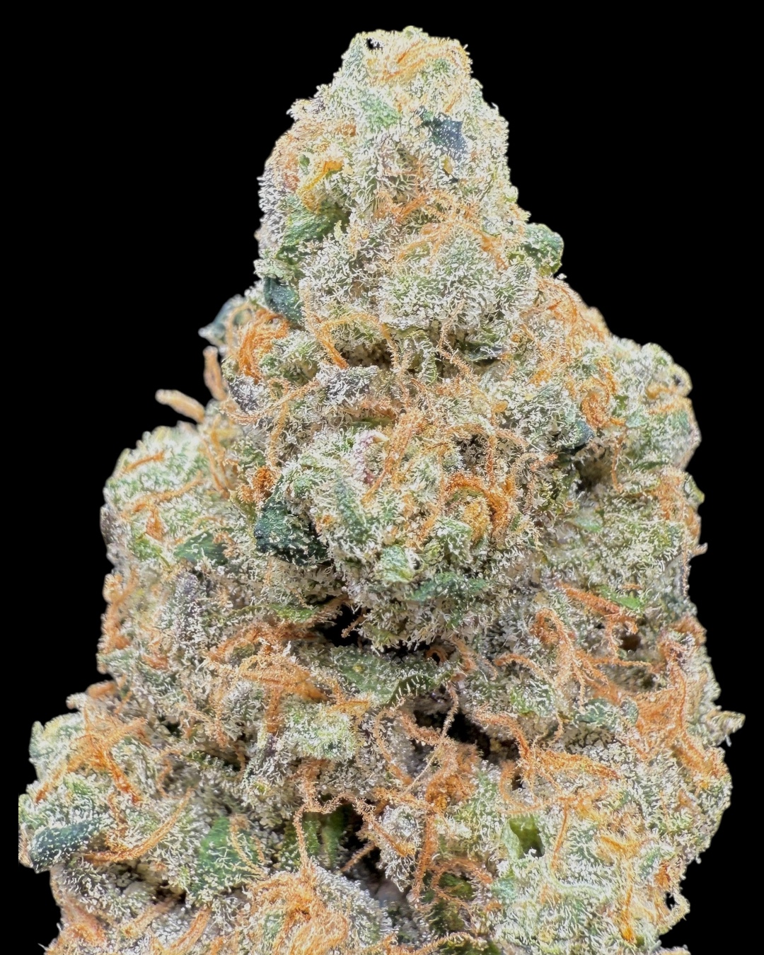 Headyz - [MeanTooth]