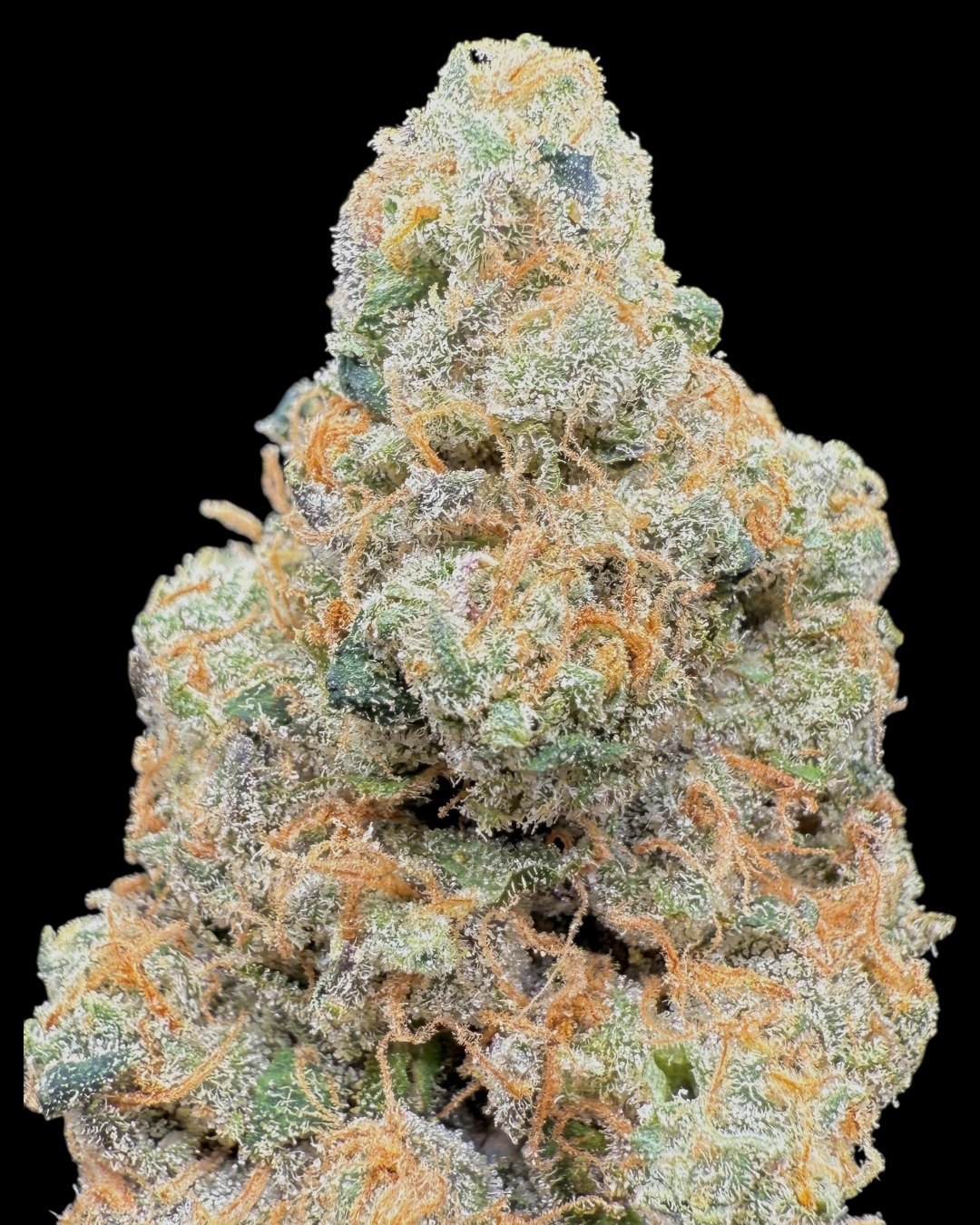 Headyz - [MeanTooth]