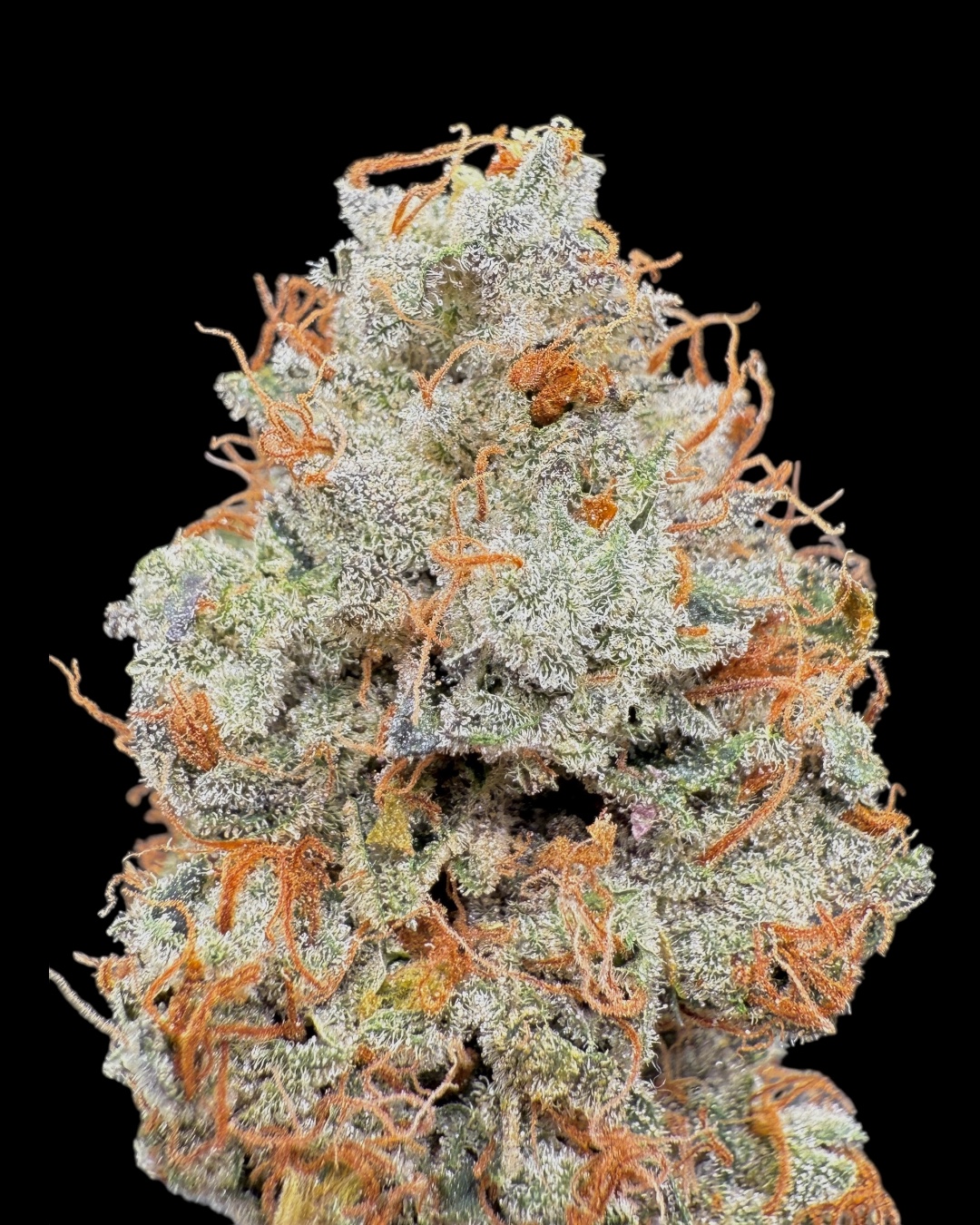 The Truth - [Wicks Picks]