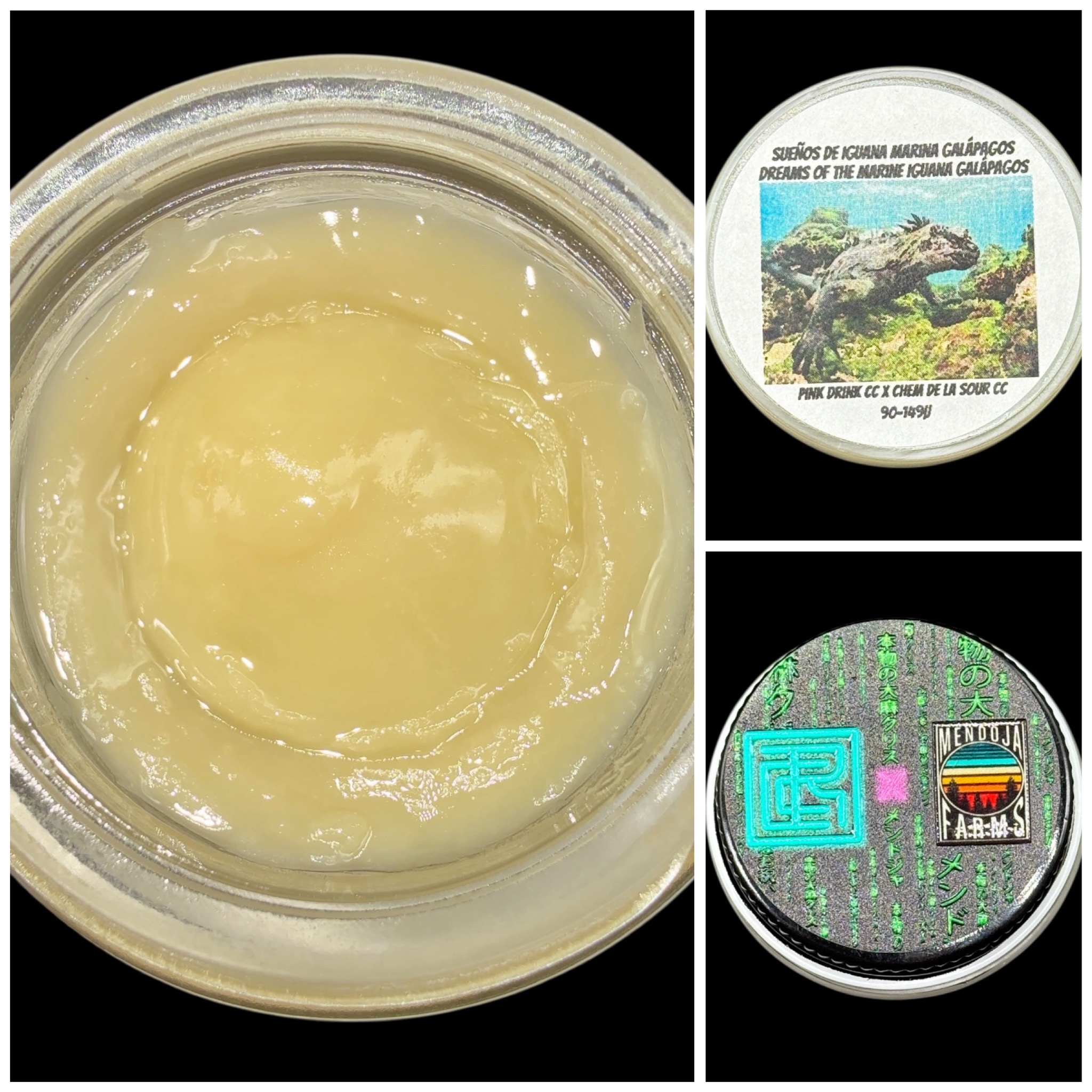 Dreams of the Marine Iguana Galapagos - 2g live rosin *thumbprint style* [Cannabis Chris x Mendoja Farms]