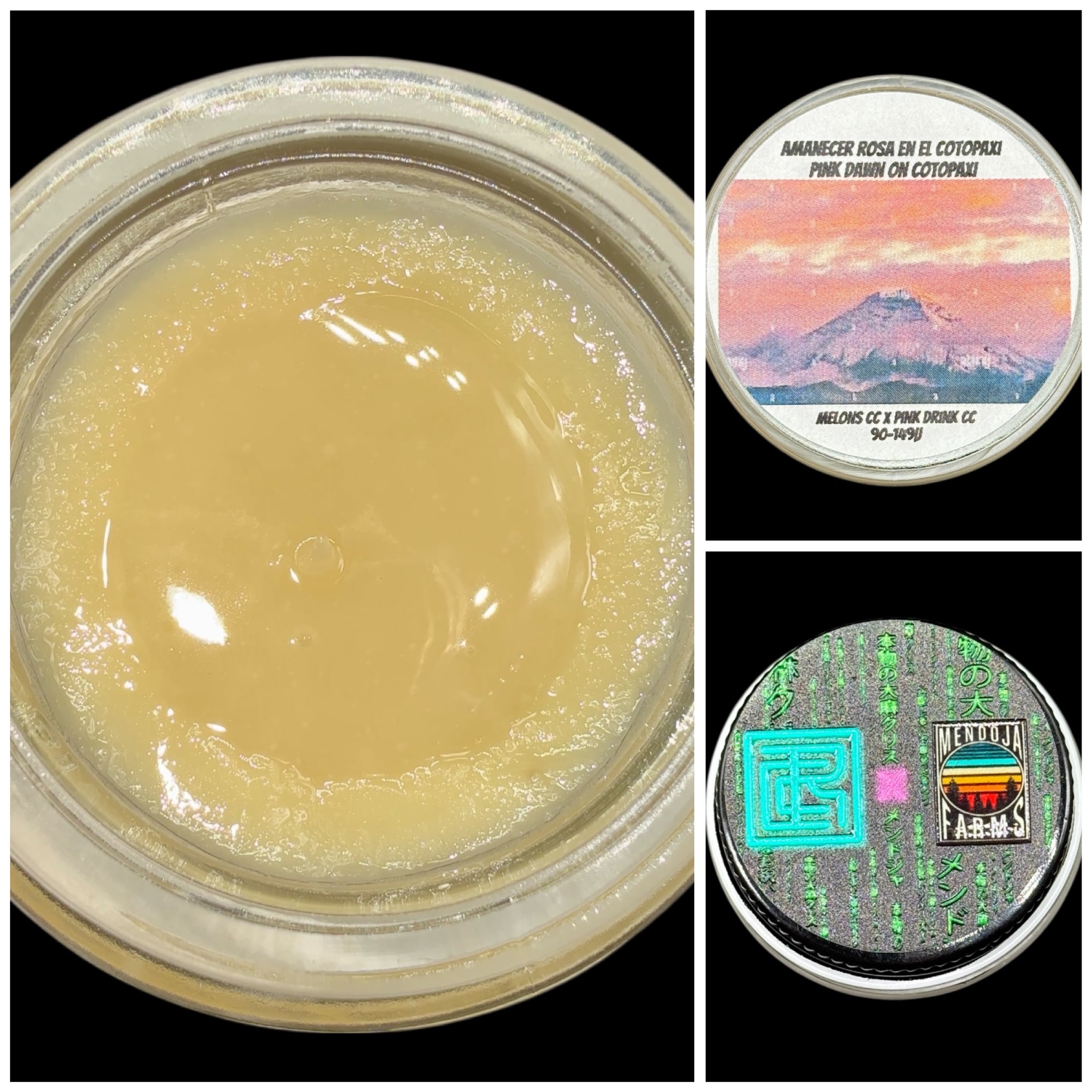 Pink Dawn on Cotopaxi - 2g live rosin *thumbprint style* [Cannabis Chris x Mendoja Farms]