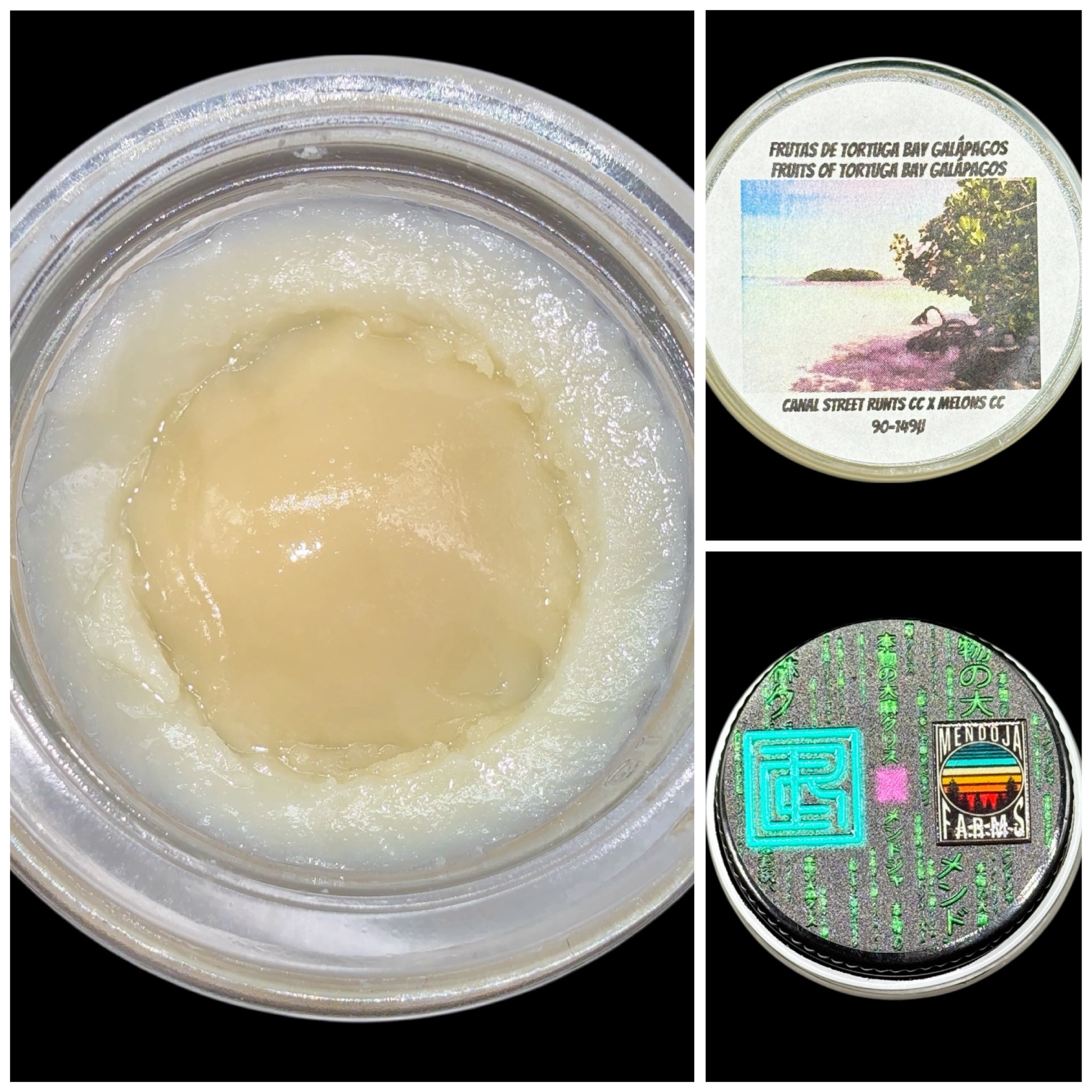 Fruits of Tortuga Bay Galapagos - 2g live rosin *thumbprint style* [Cannabis Chris x Mendoja Farms]