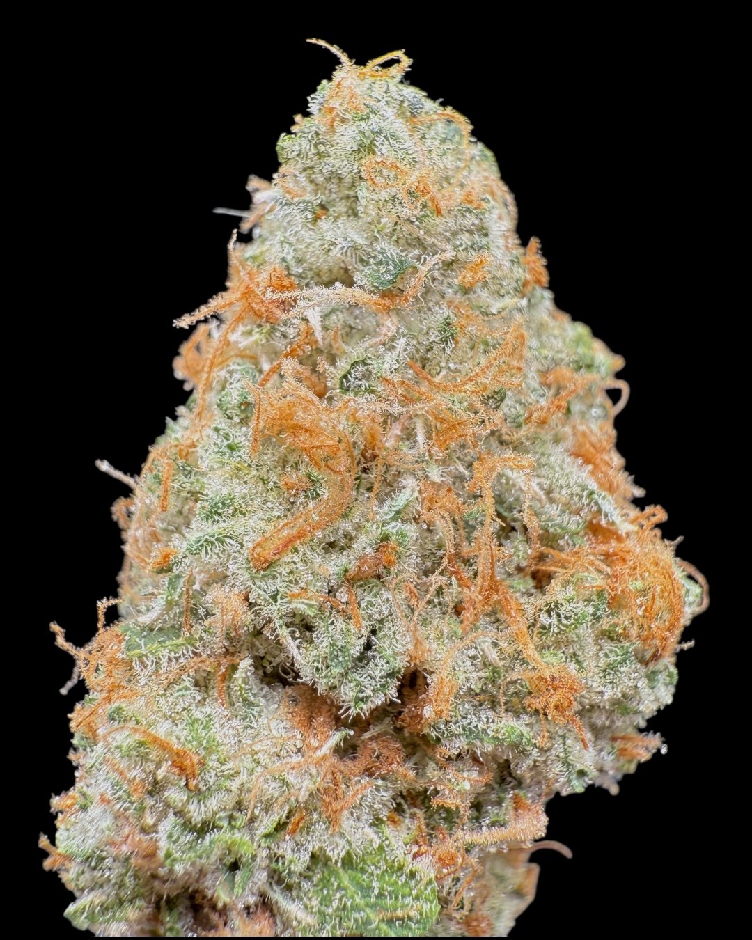 Cranberry Zkittlez - [You Know Waz Good]