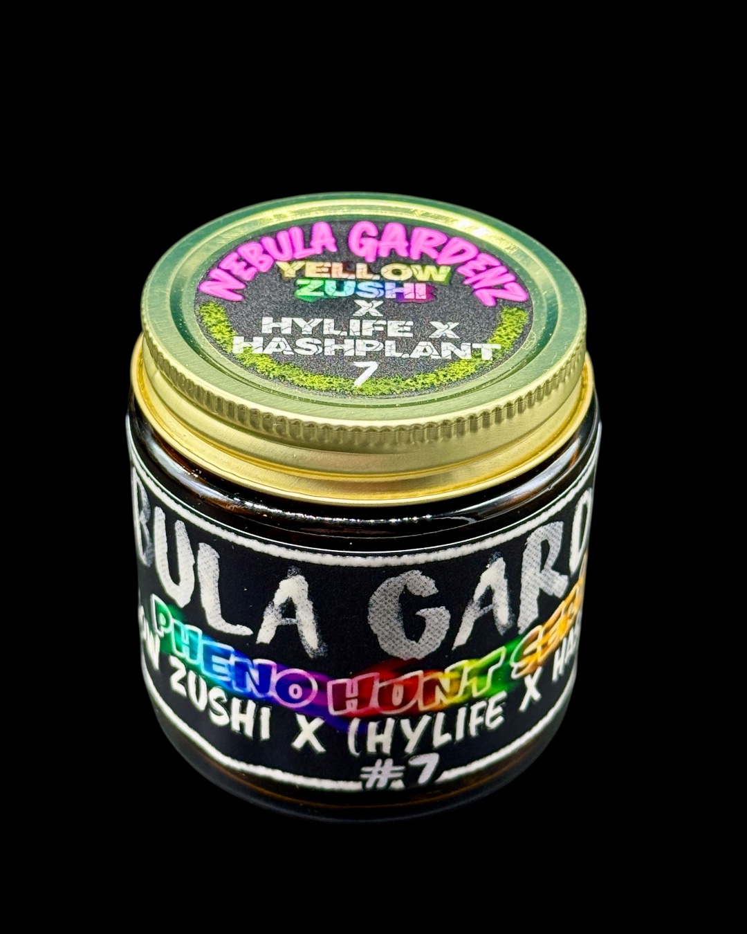 Yellow Zushi x Hylife x Hash Plant #7 - [Nebula Gardenz]