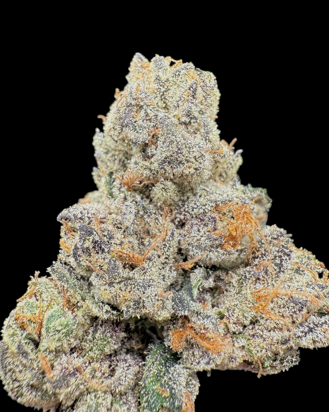 Crunch Berries - [Playbook Genetics]