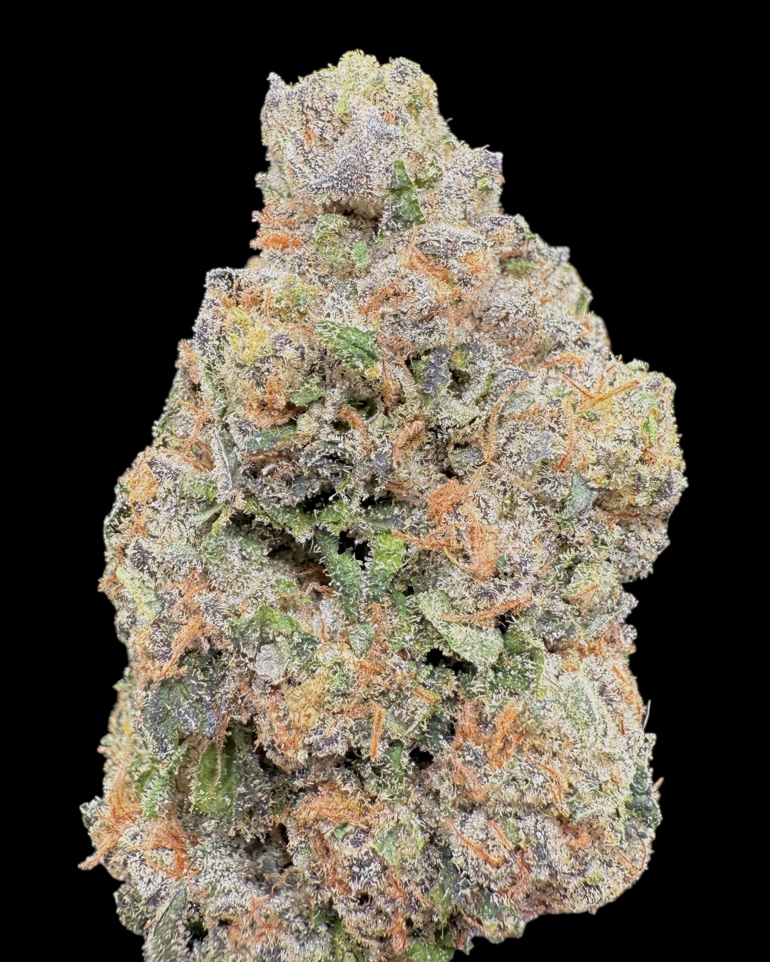 Zang Banger - [Wizard Trees]