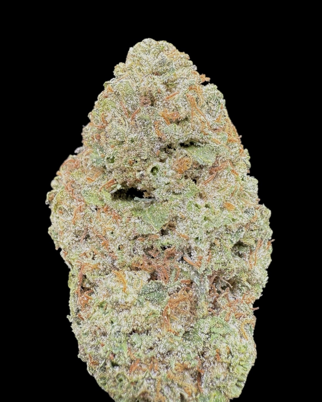 Blue Belts $60 Oz Special (2 Ozs for $100)