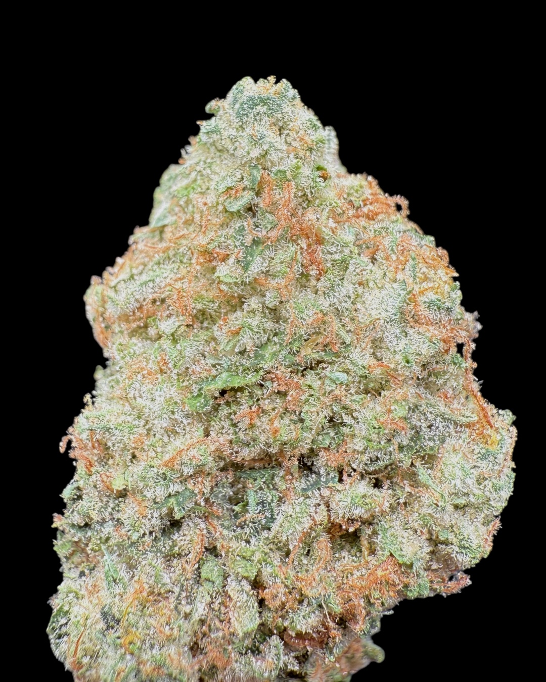 Key Lime Pie - [Meantooth]