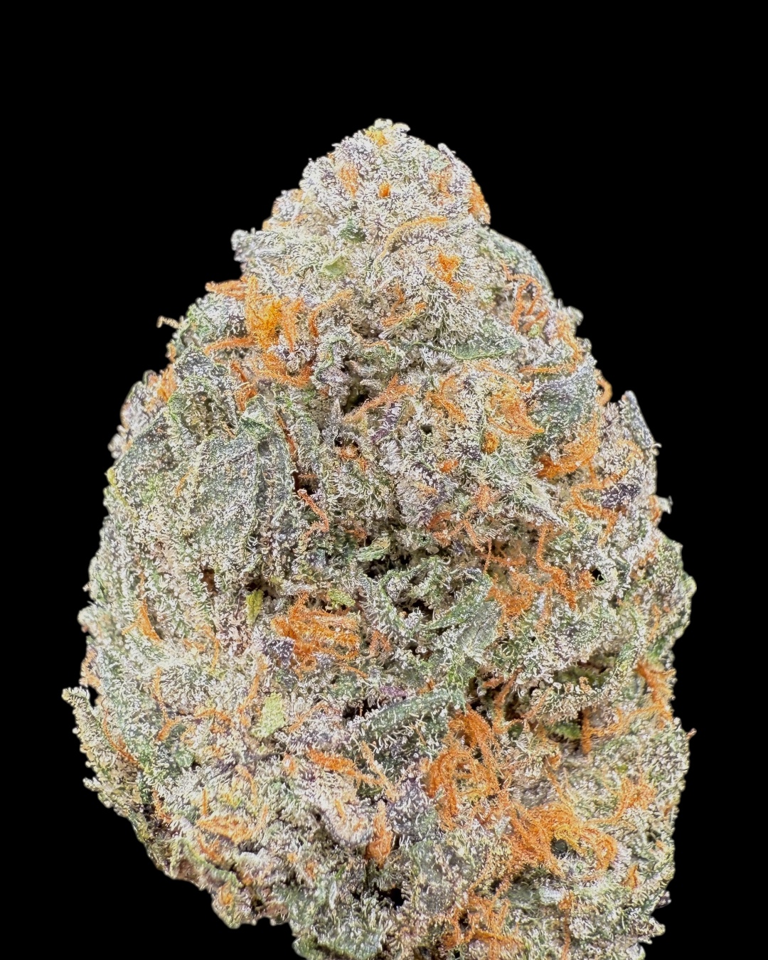 Gelato 45 $130 Oz Special