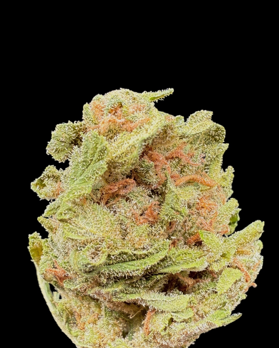 Blue Dream $30 Oz Special (2 Ozs for $50)