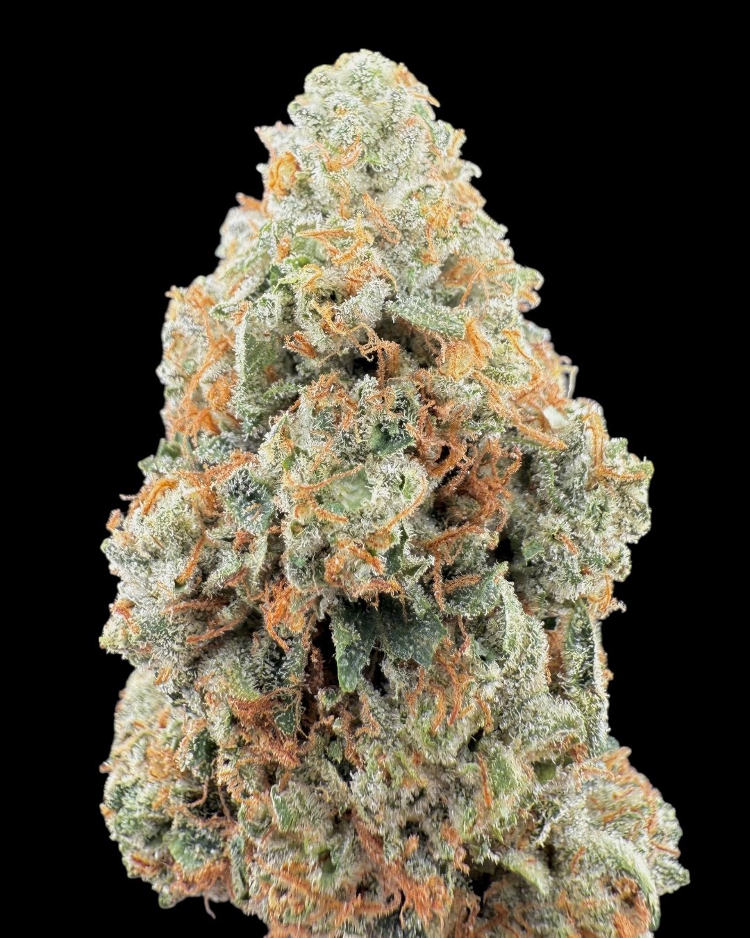 Dawg Walker - [Feel Good x Green Dawg]