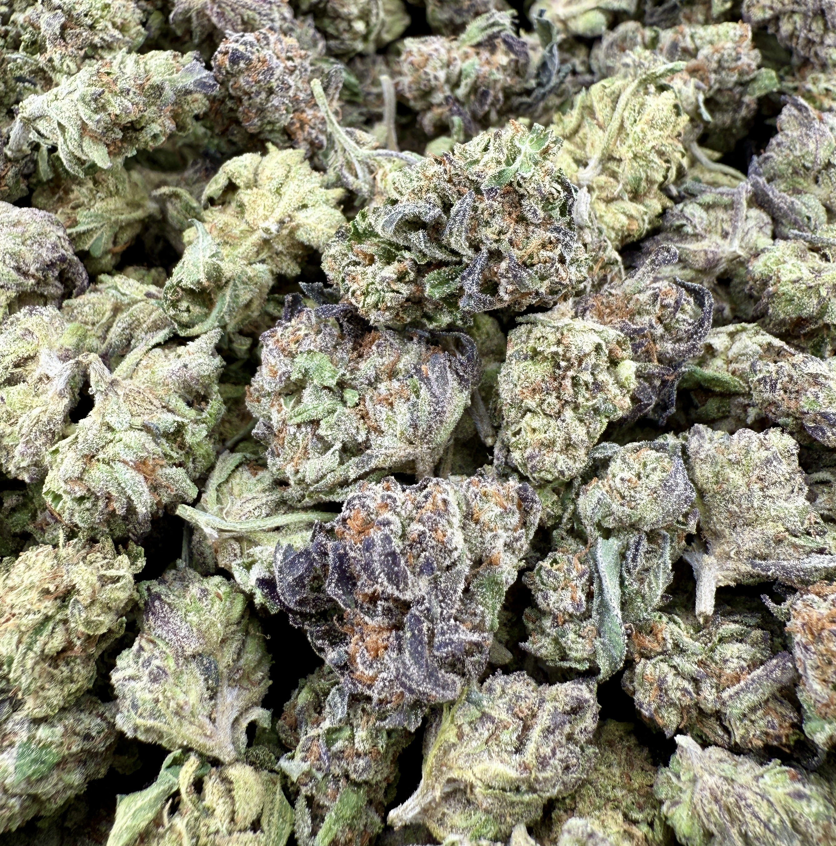 Modified Sunset smalls $40 Oz Special (2 Ozs for $70)