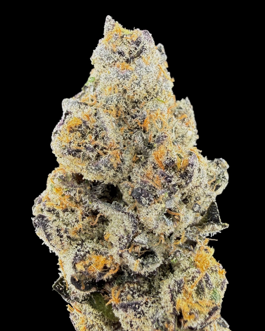 Platinum Cookies - [Mr. Gelatti]