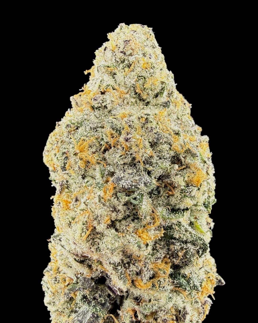 Tropical Sorbet - [Mr. Gelatti]