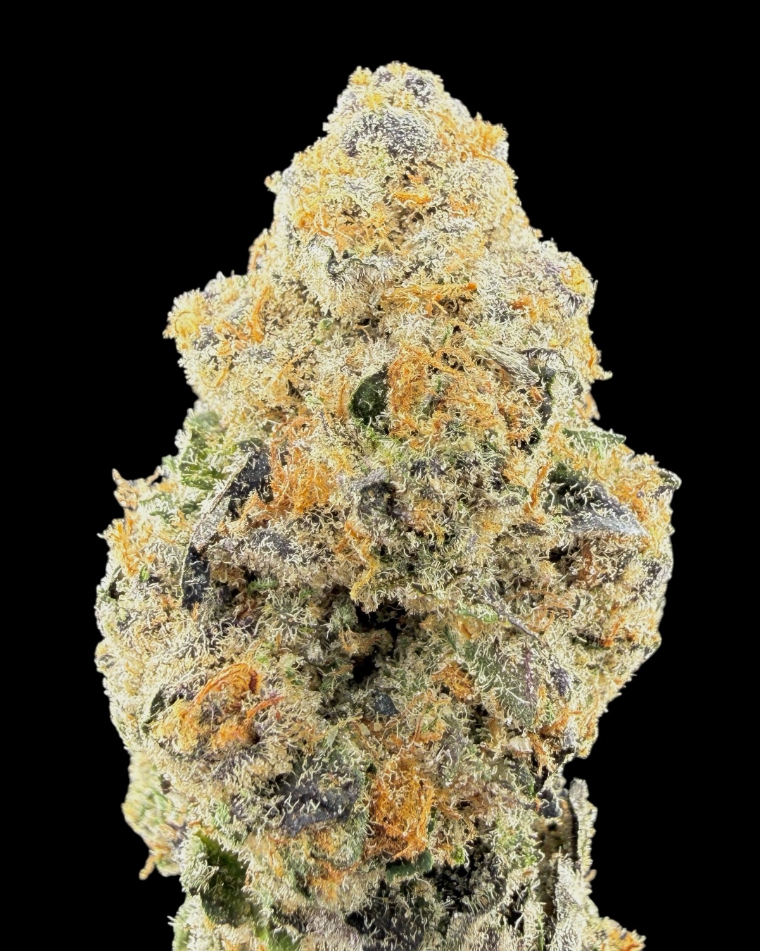 Smarties - [Mr. Gelatti]