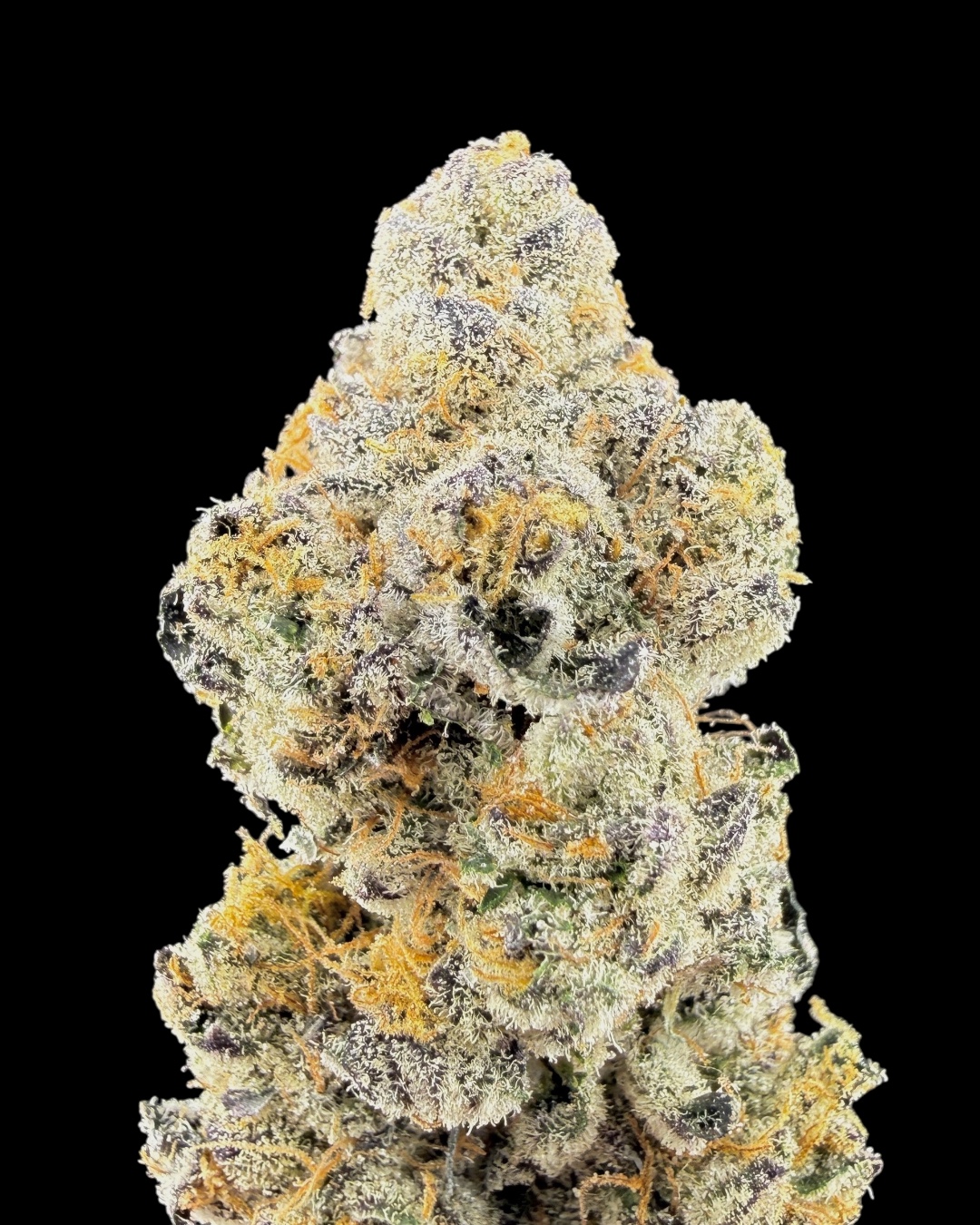 Thin Mint Cookies - [Mr. Gelatti]