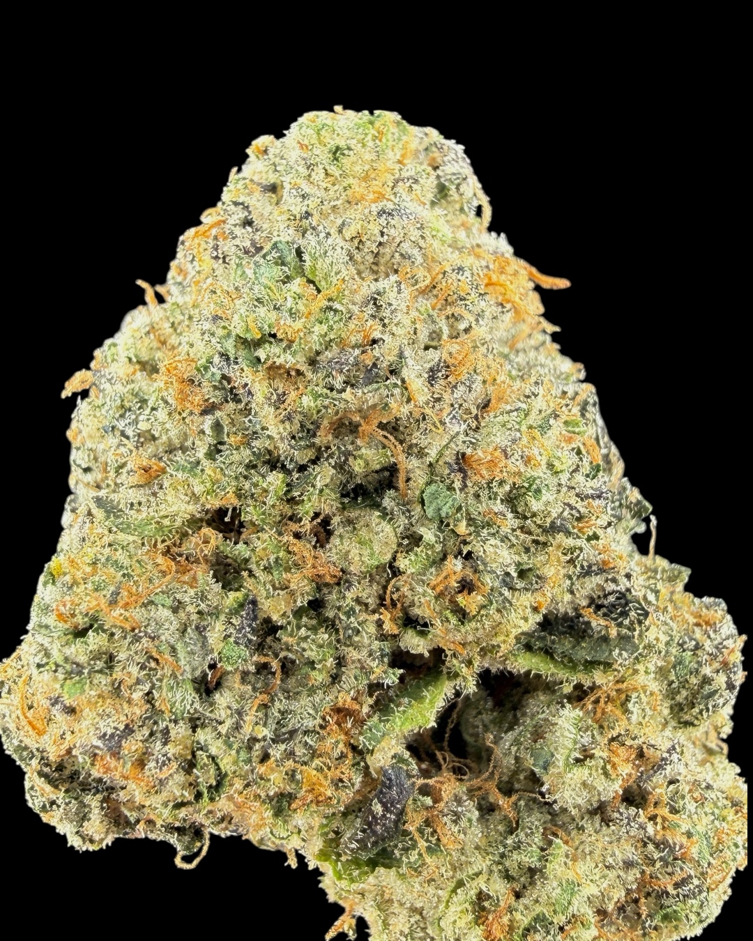 Beauzolais - [The Loud Alien]