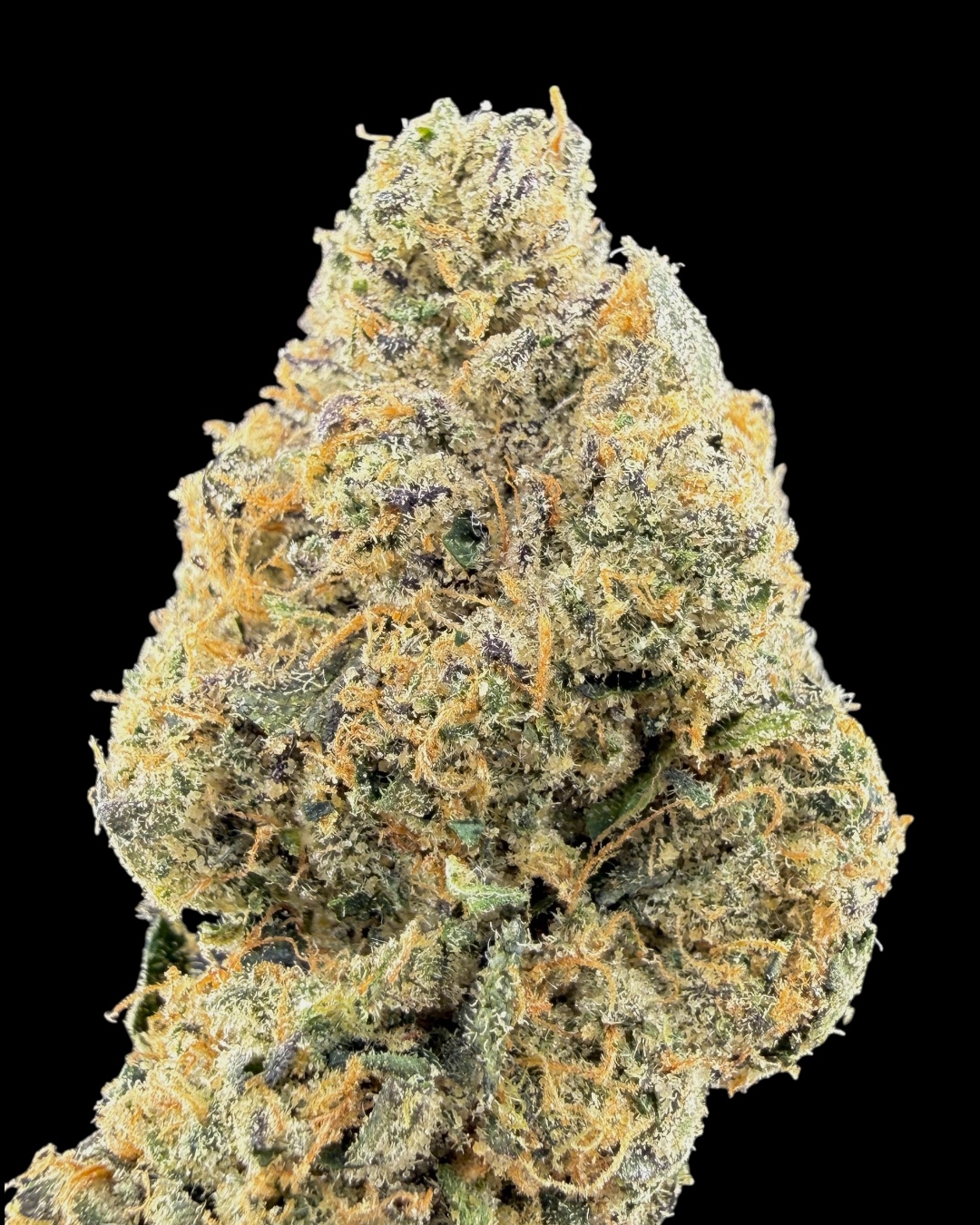 Lemon Kushbeltz #6 - [The Loud Alien]