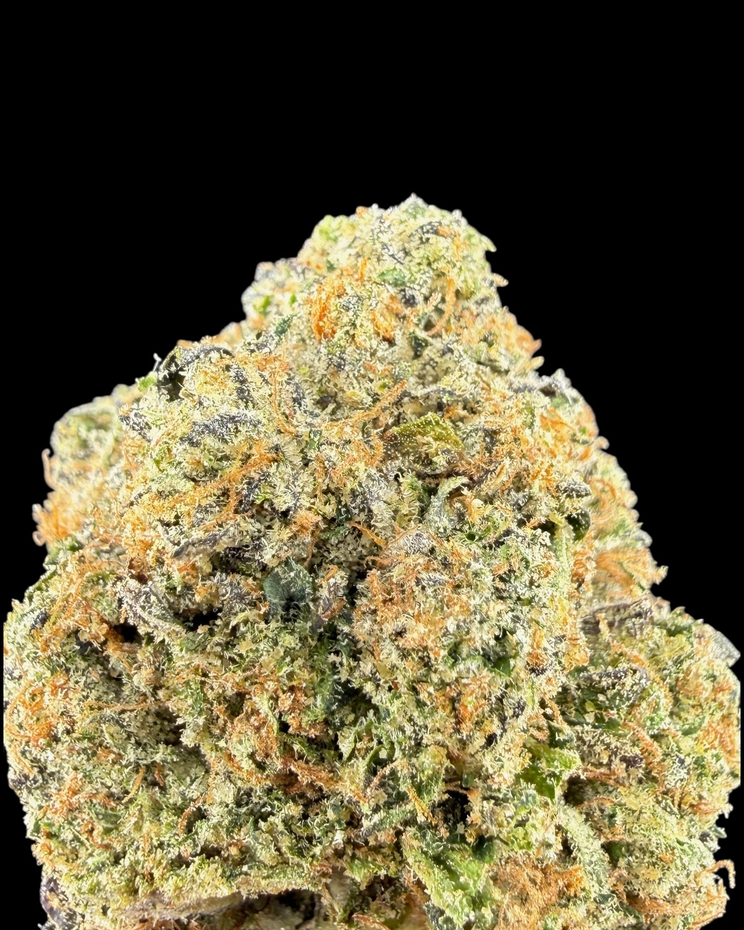 Cozmic Cookies - [The Loud Alien]
