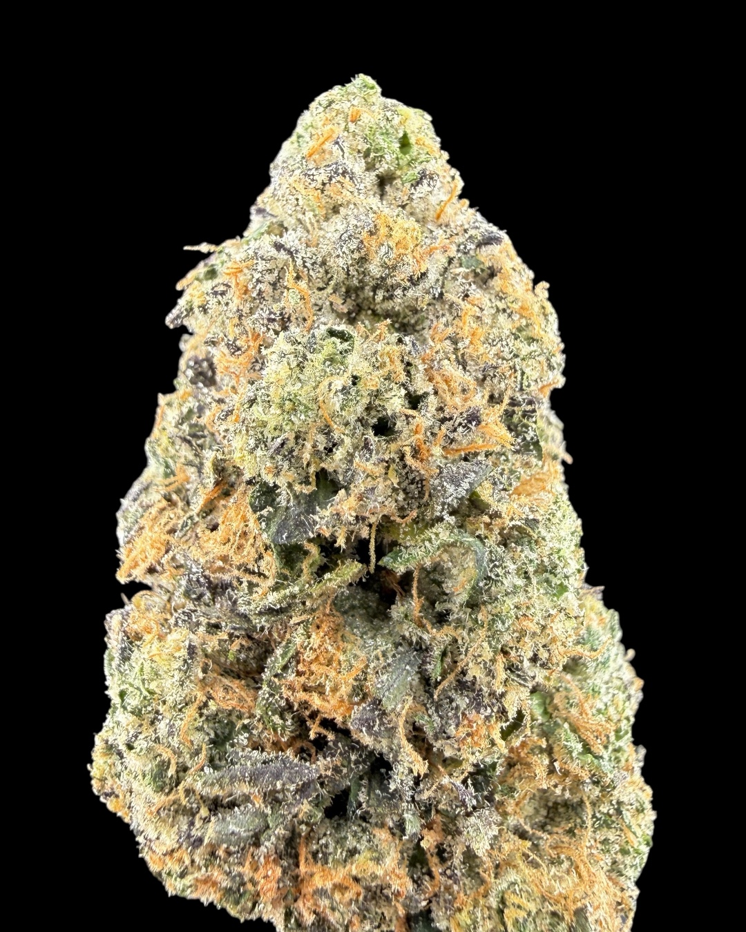 Annunaki Fuel - [The Loud Alien]