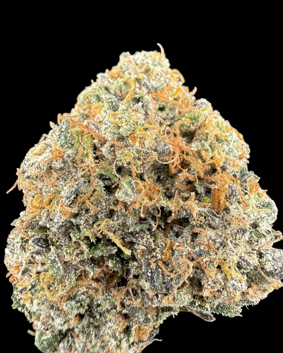 War Headz $100 Oz Special