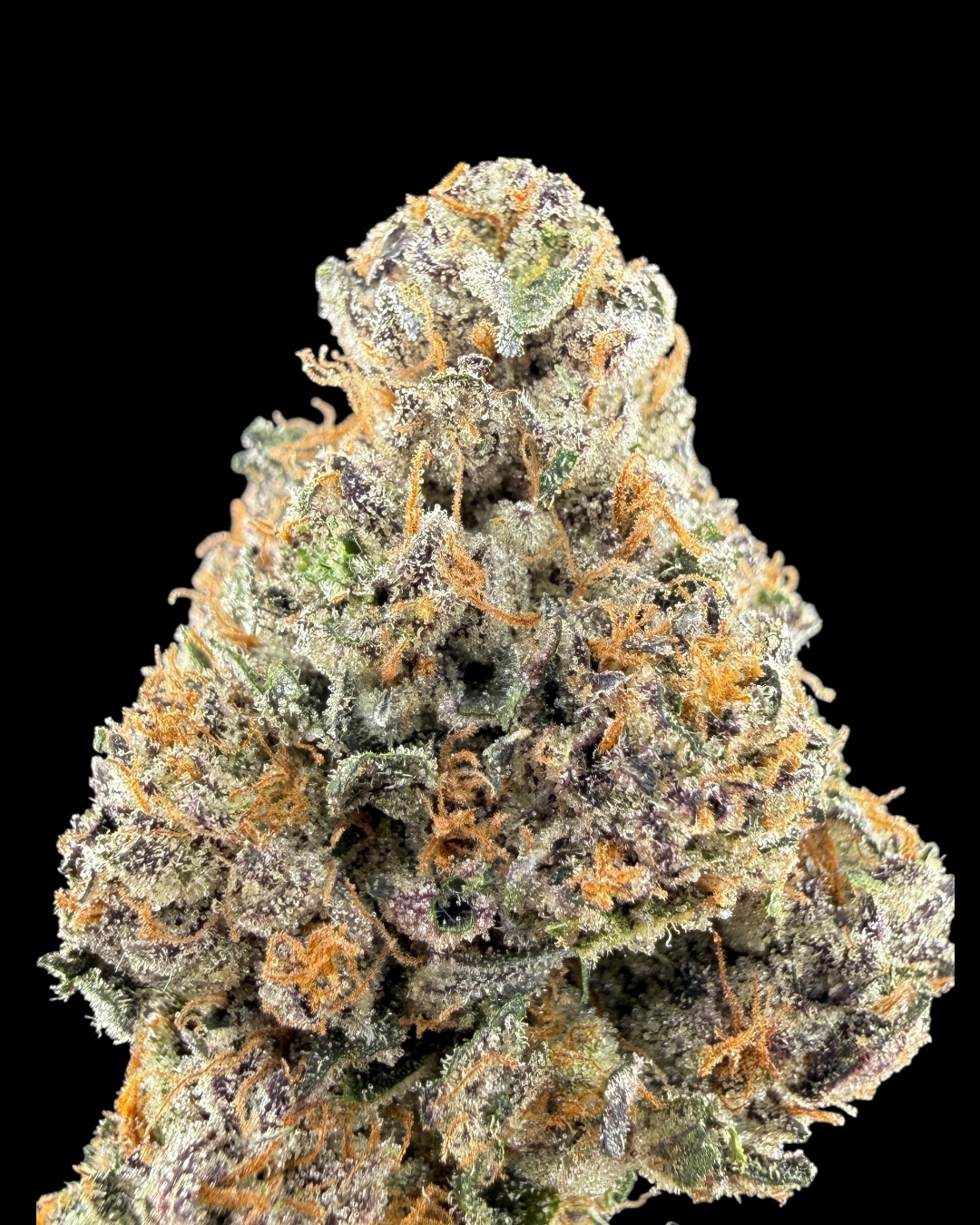 Crunch Berries - [Fresh Vibez]