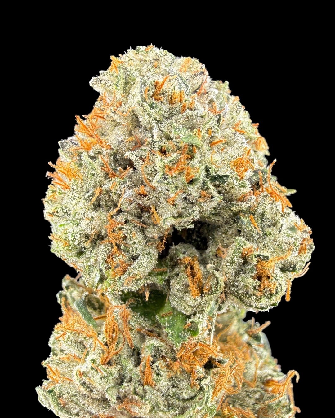 Propane Valley - [Fresh Vibez]