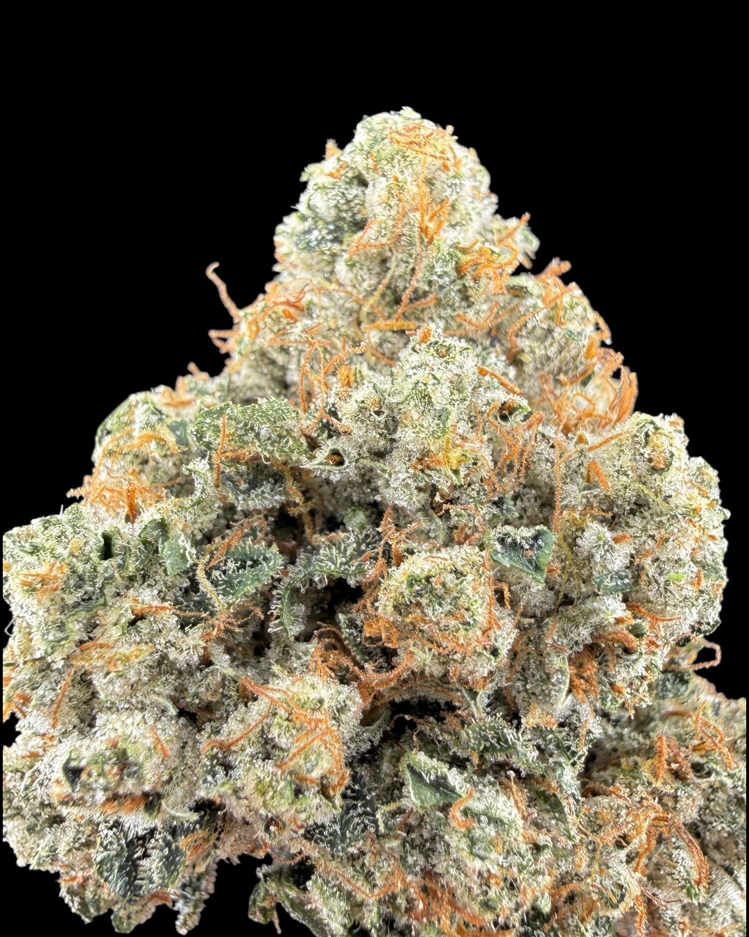 Vibes OG - [Fresh Vibez]