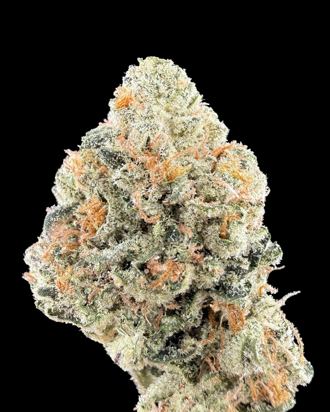 Stuffed French Toast - [Fresh Vibez]