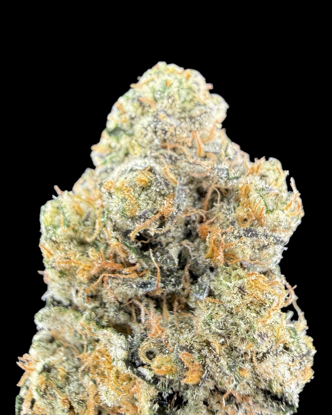 Girl Scout Cookies - [Fresh Vibez]