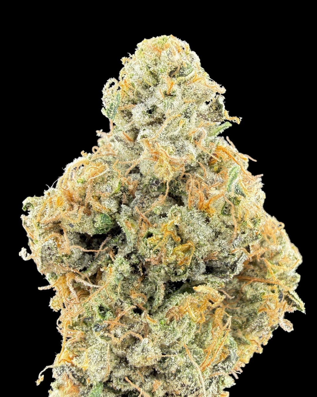 Lemon Ztrawz - [Fresh Vibez]