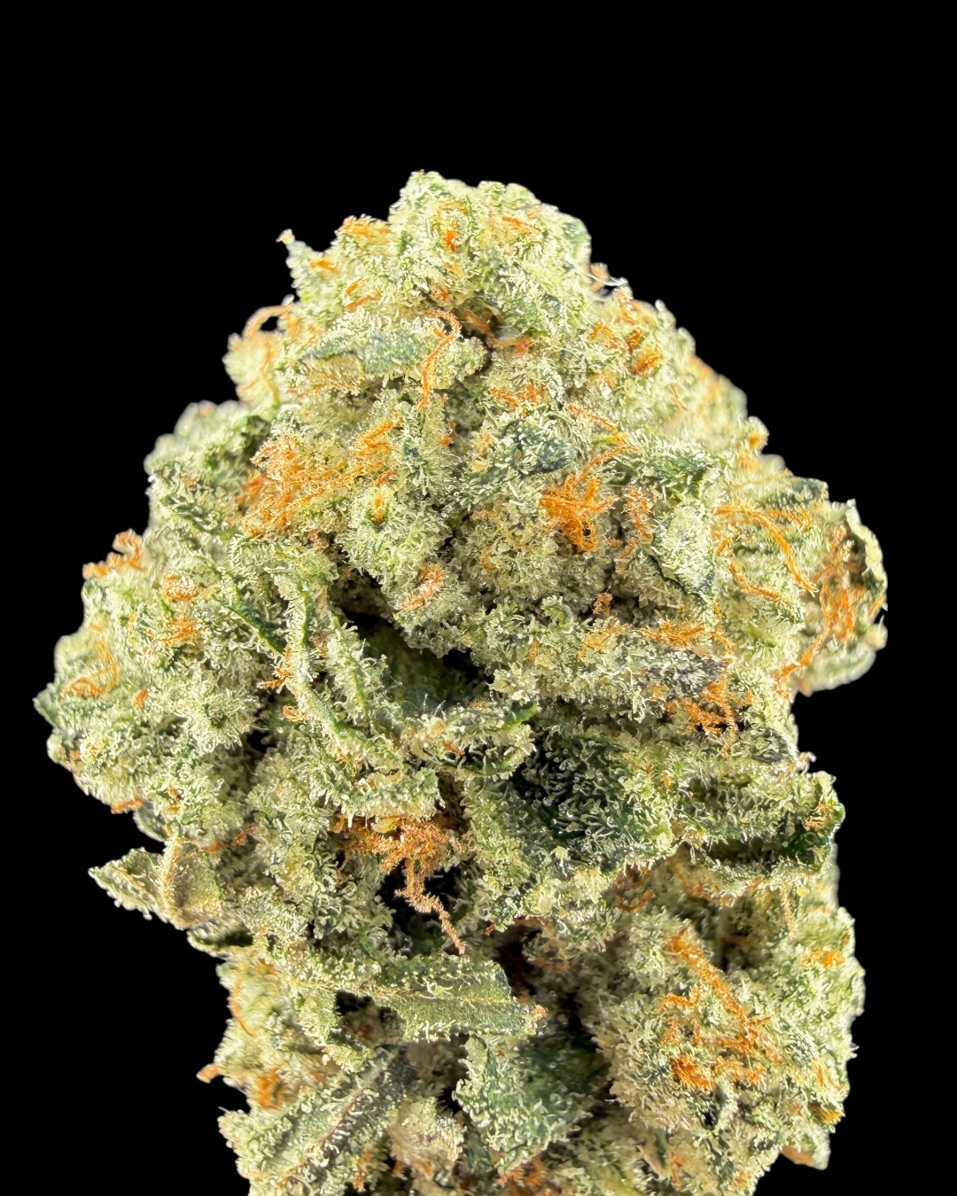 Revenge of the Zith - [Up the Hill] $220 Oz Special