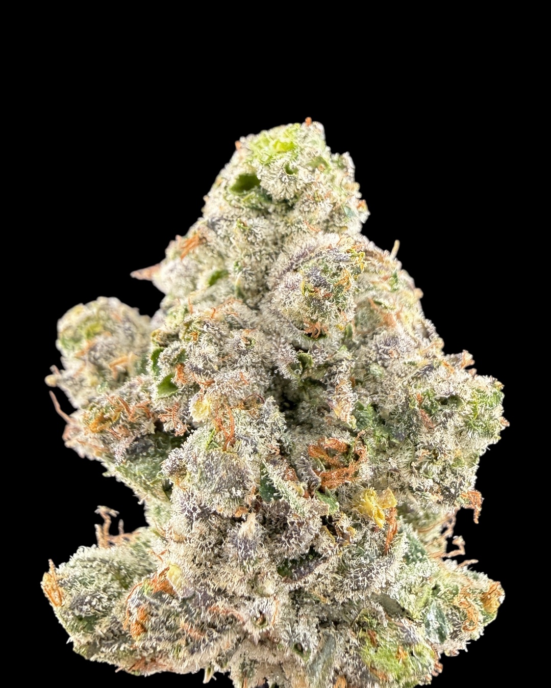 Lemonator - [Cutright]