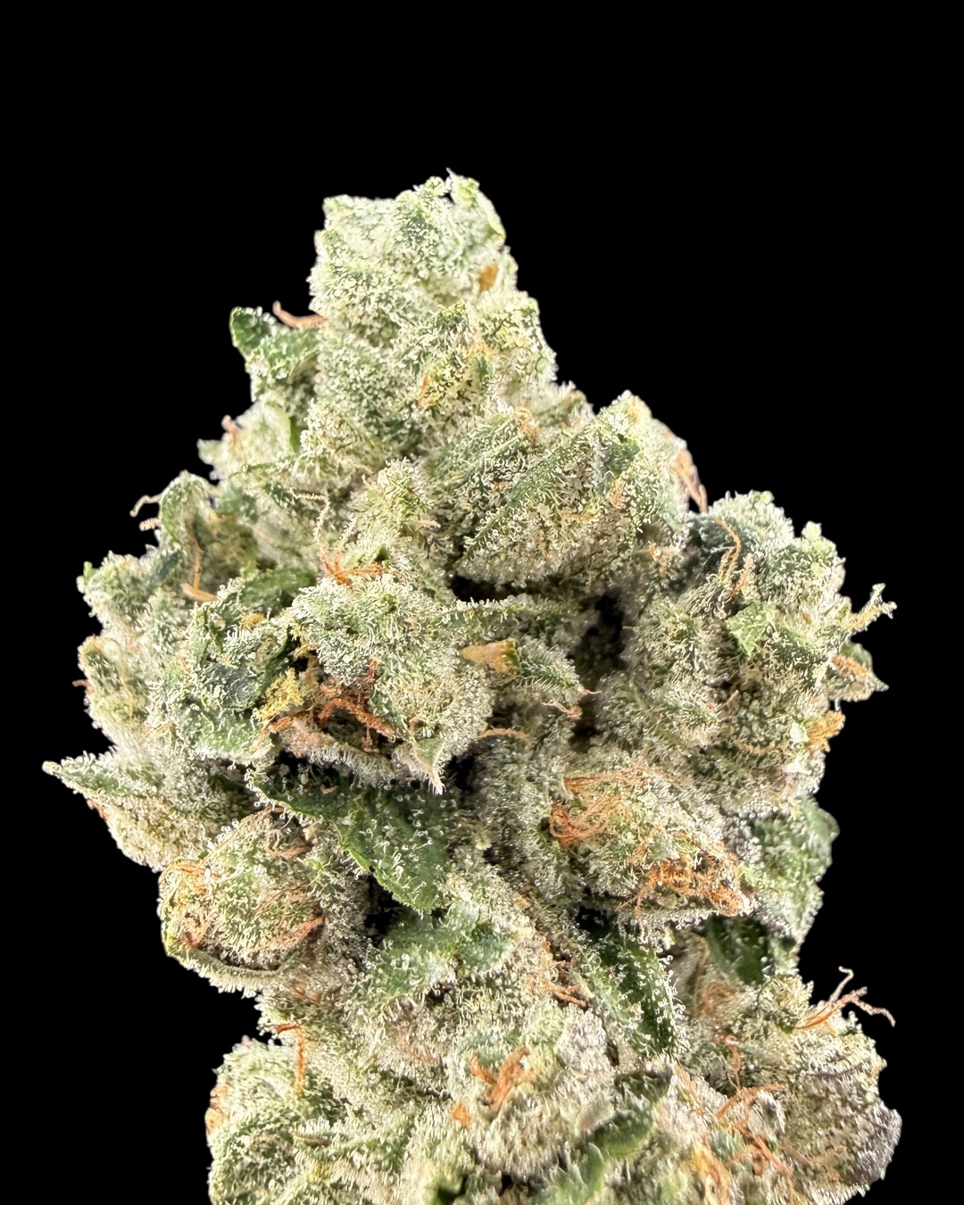 Frog Poison - [Cutright]