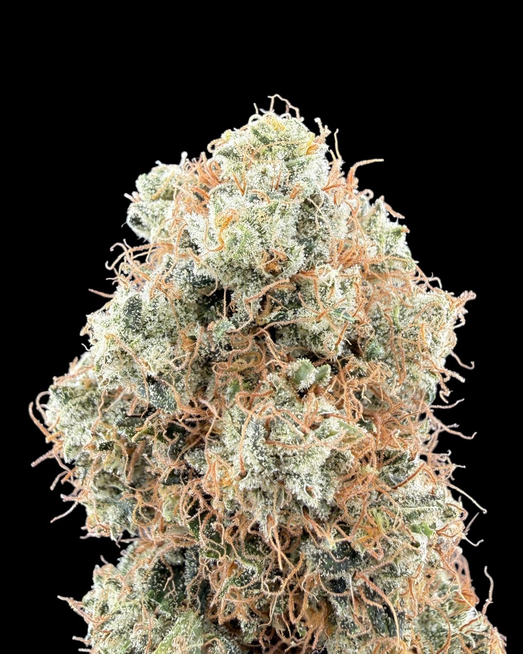 Grapefruit Chem - [Wicks Picks]