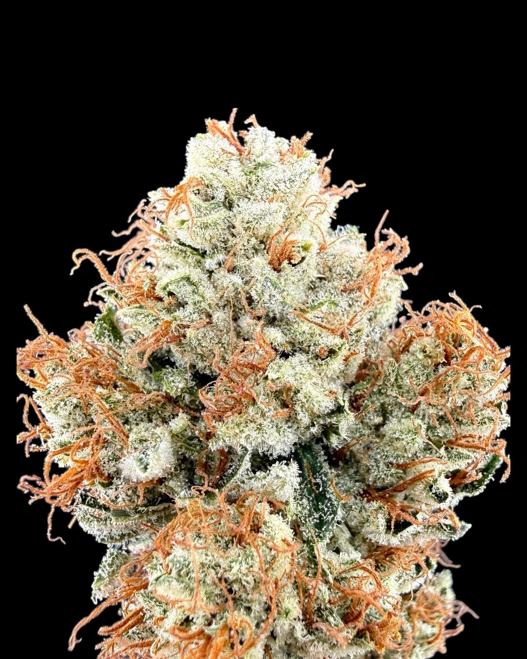 Lime Fanta - [Wicks Picks]