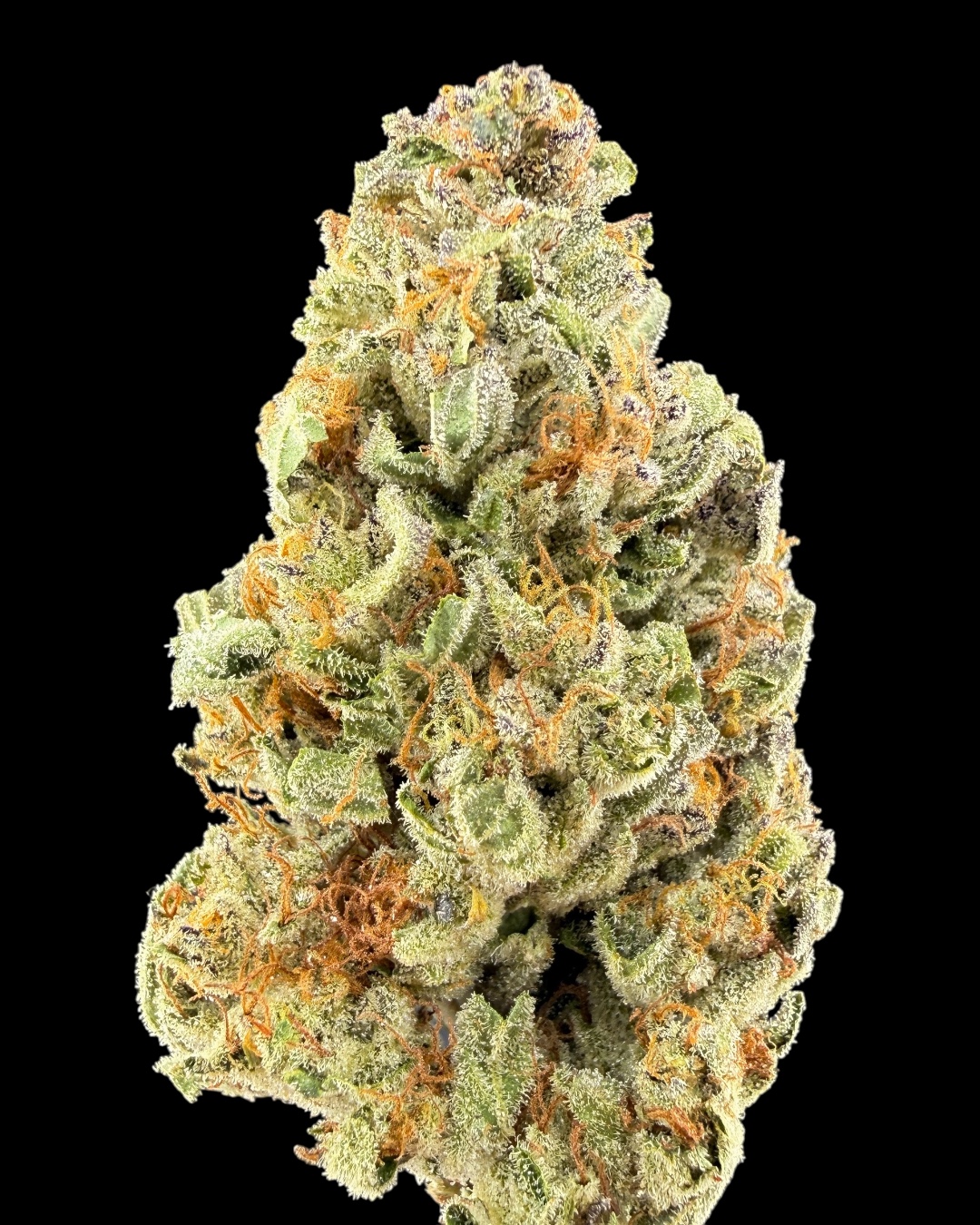 Government Oasis $80 Oz Special (2 Ozs for $140)