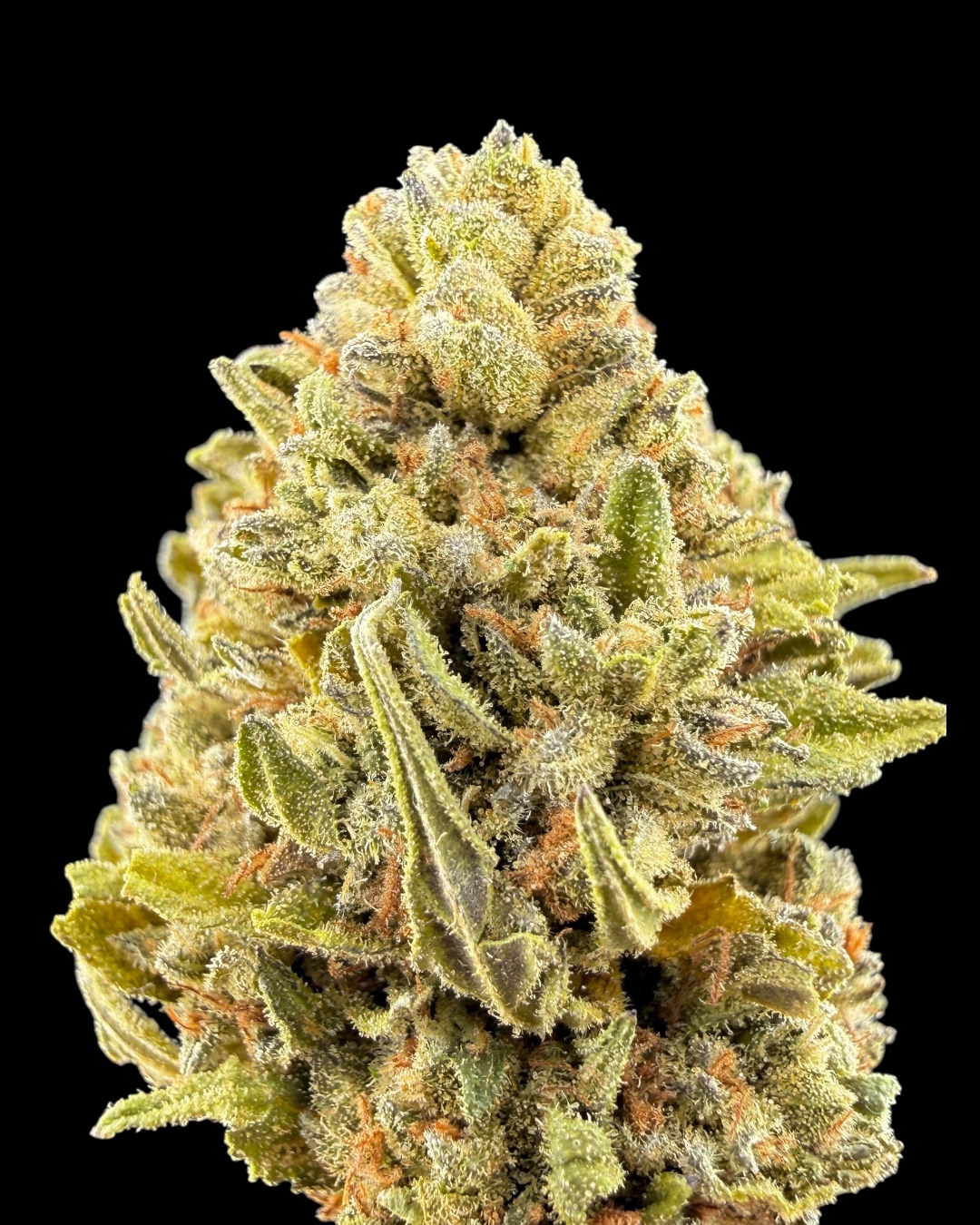 E85 $40 Oz Special (2 Ozs for $70)