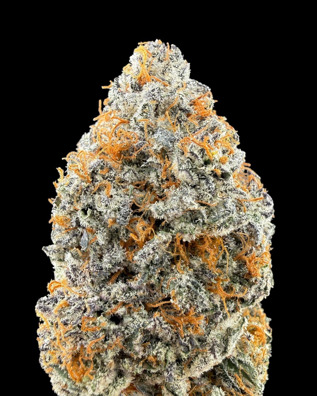 Presidential Gushers