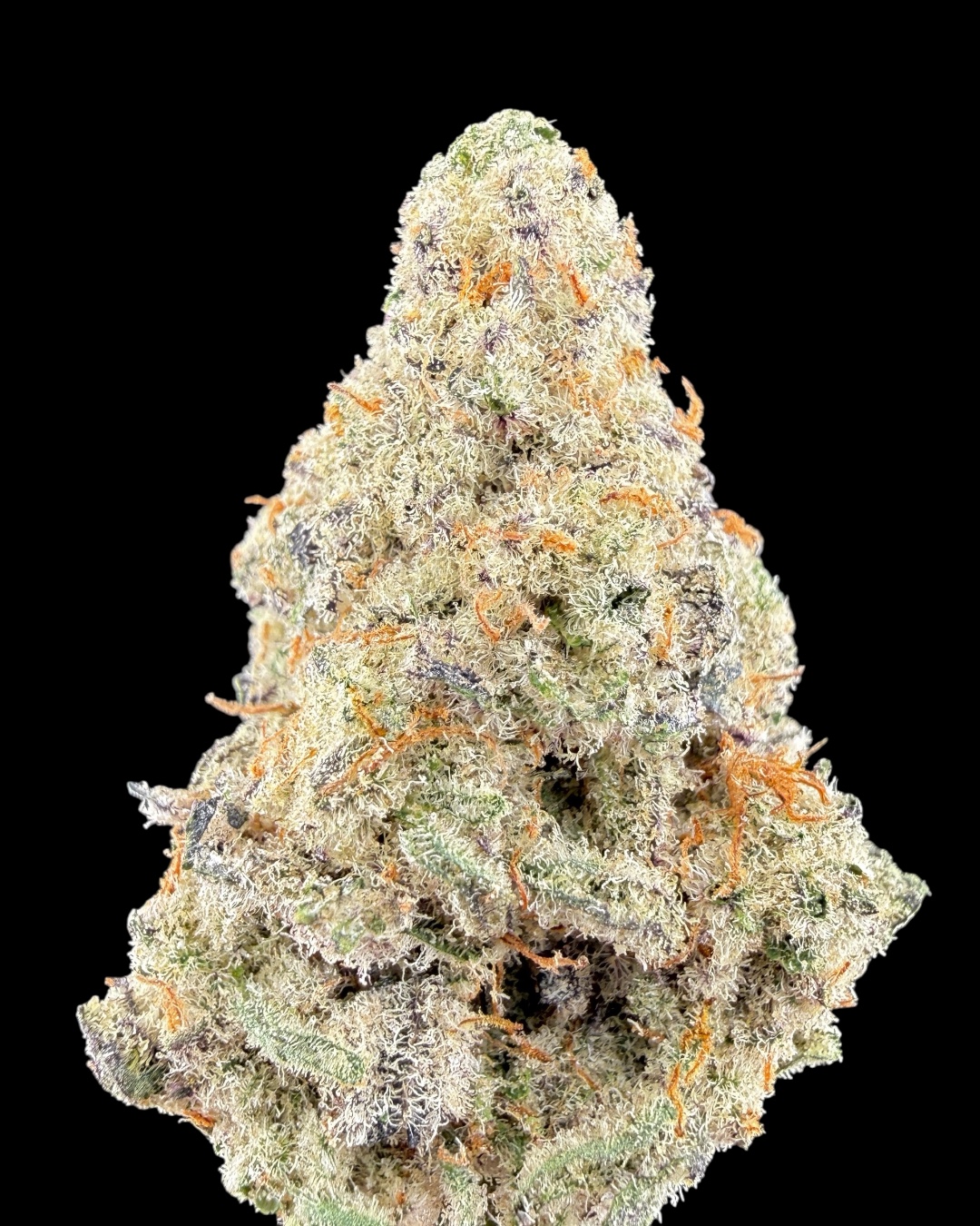 MAC - [Indoor Organic Gardens]