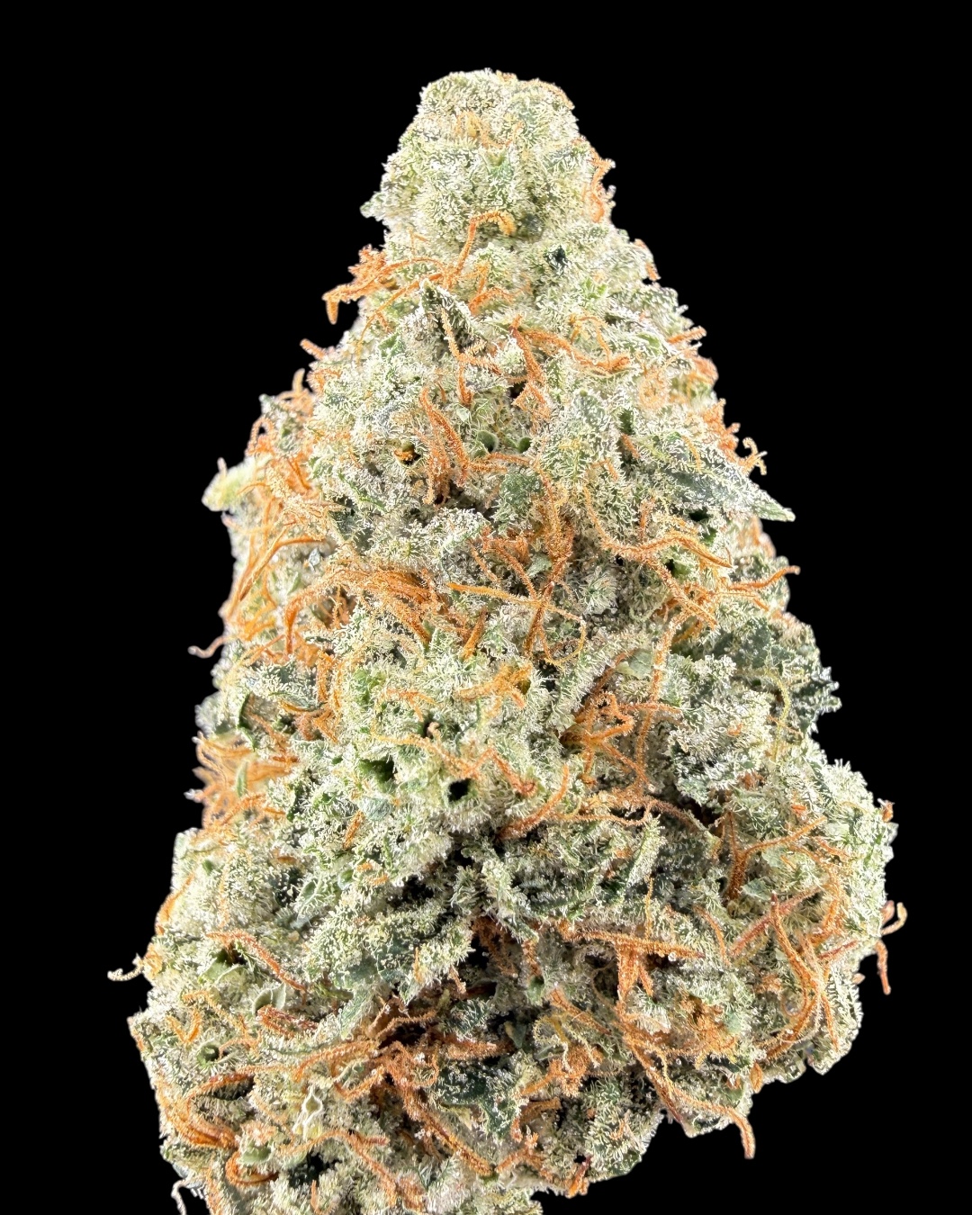 MAC $200 Oz Special [Indoor Organic Habit]