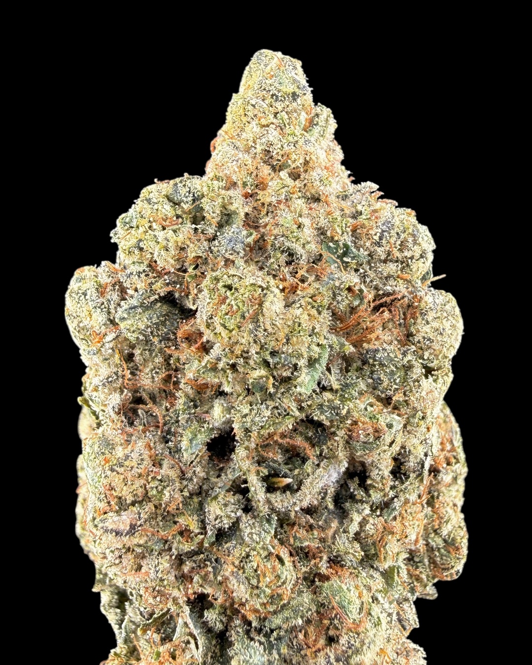 Blackwater OG