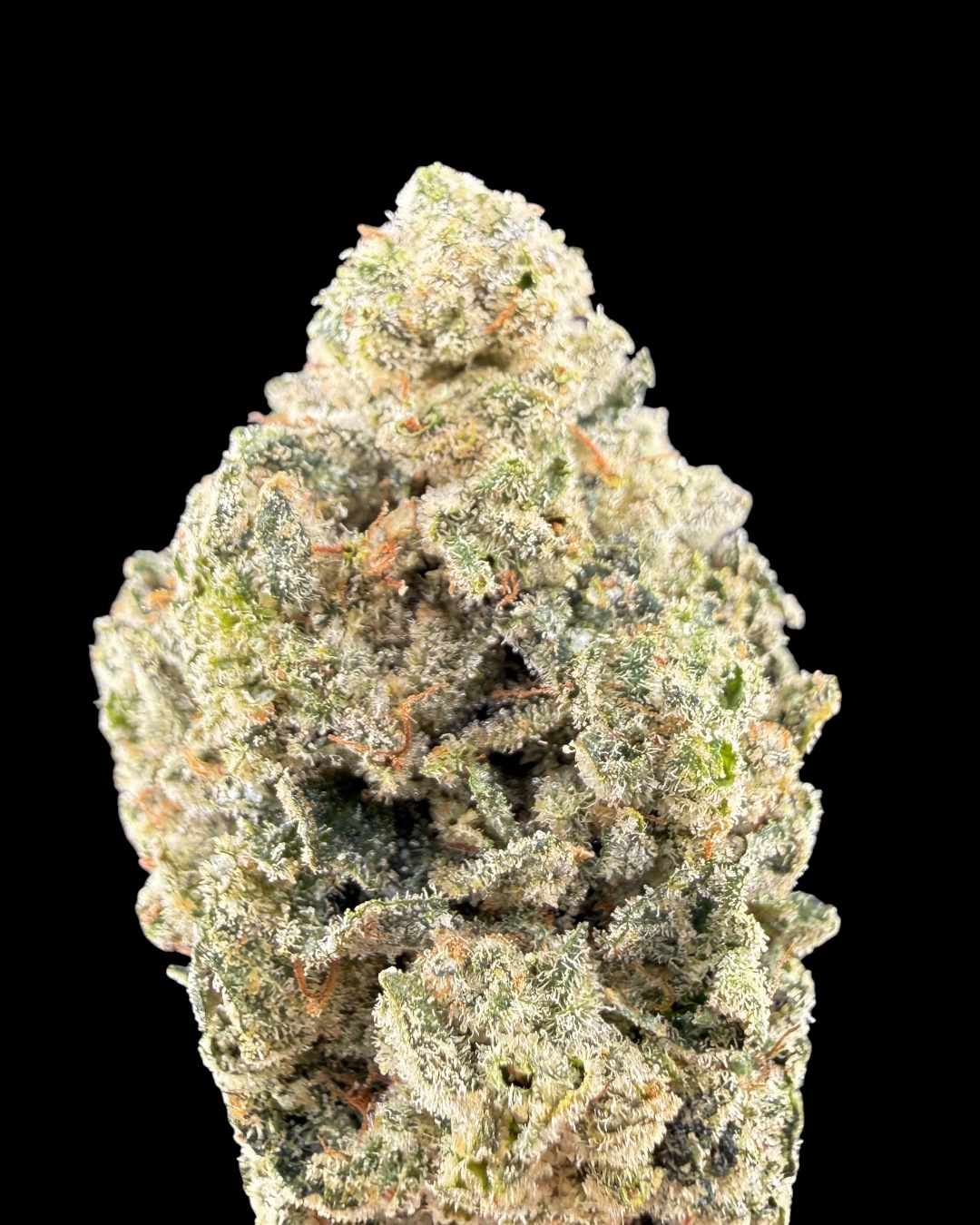 Gorilla Glue $100 Oz Special