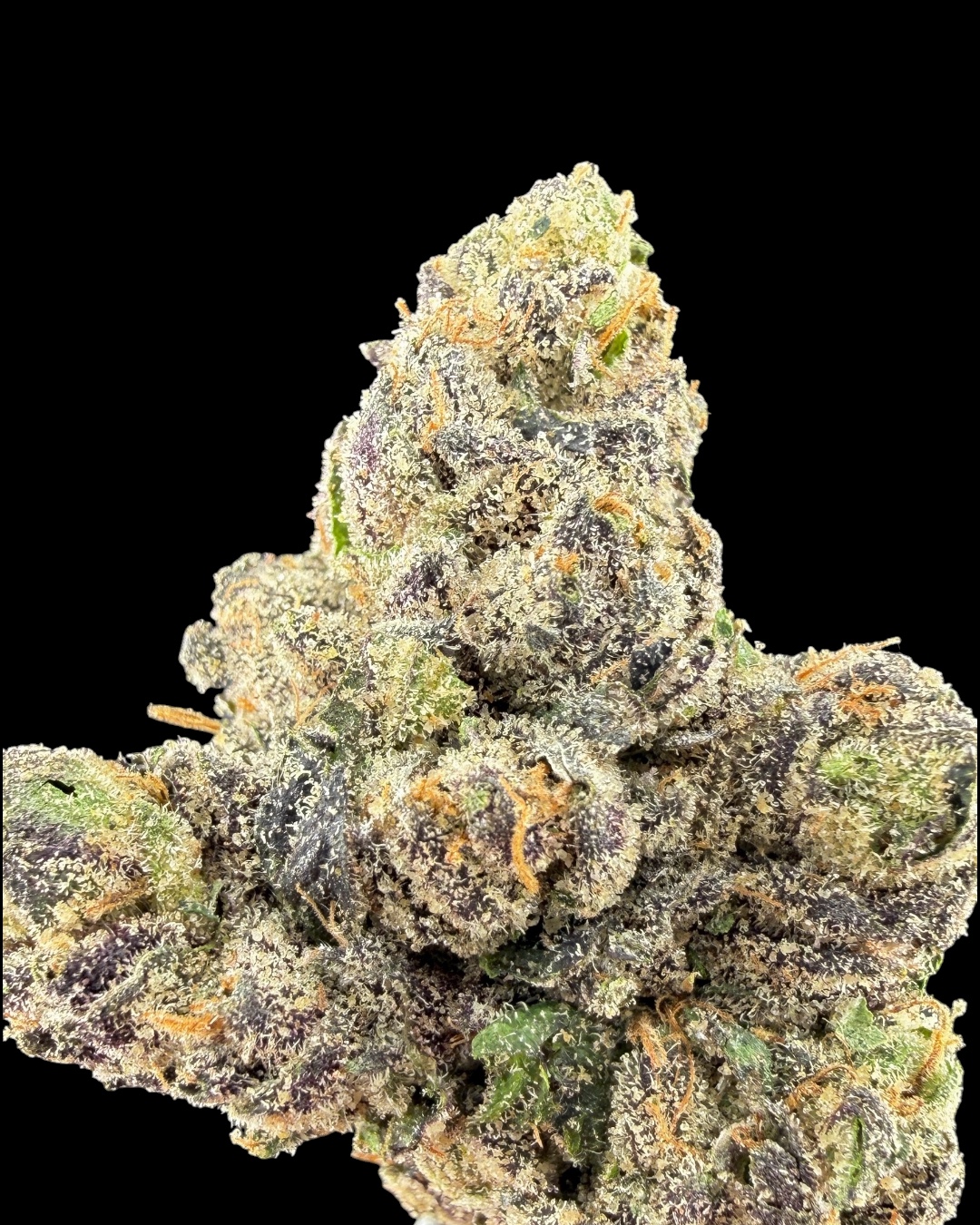 Invader Zim - [Ball Family Farms]