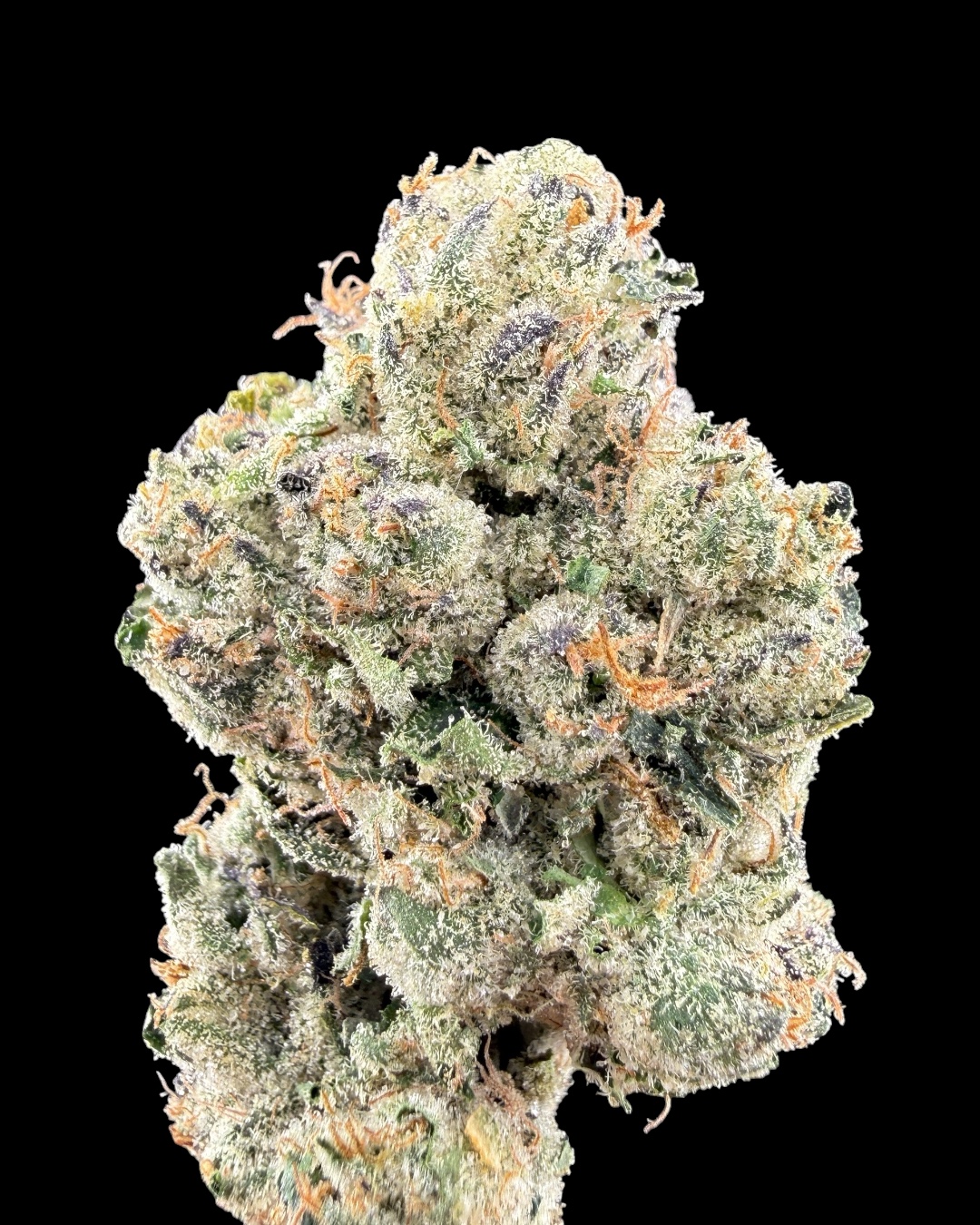 Antidote - [Wizard Trees]