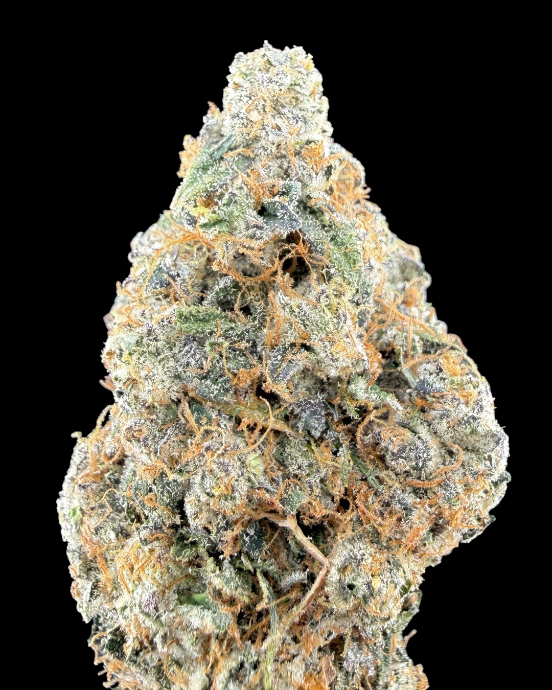 Lava Cake $150 Oz Special