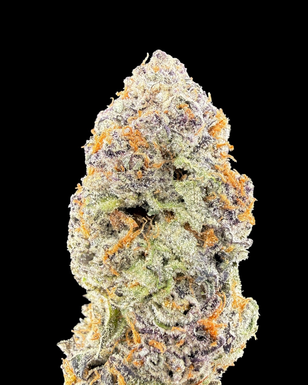 Purple Starburst