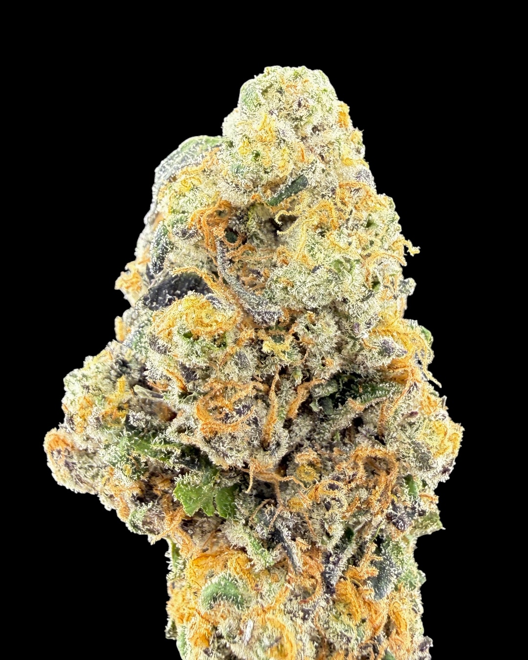 Zoap Sour - [Doja]