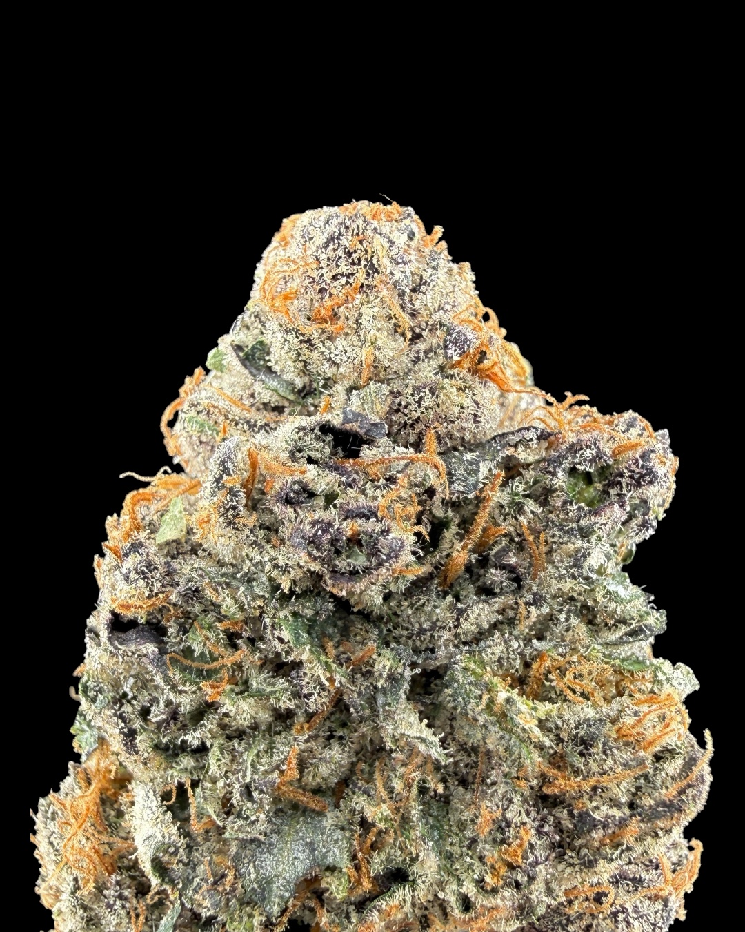 Bacio Gelato